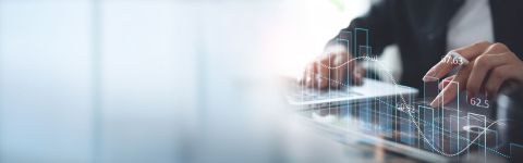 Cashflow and Profitability Planning